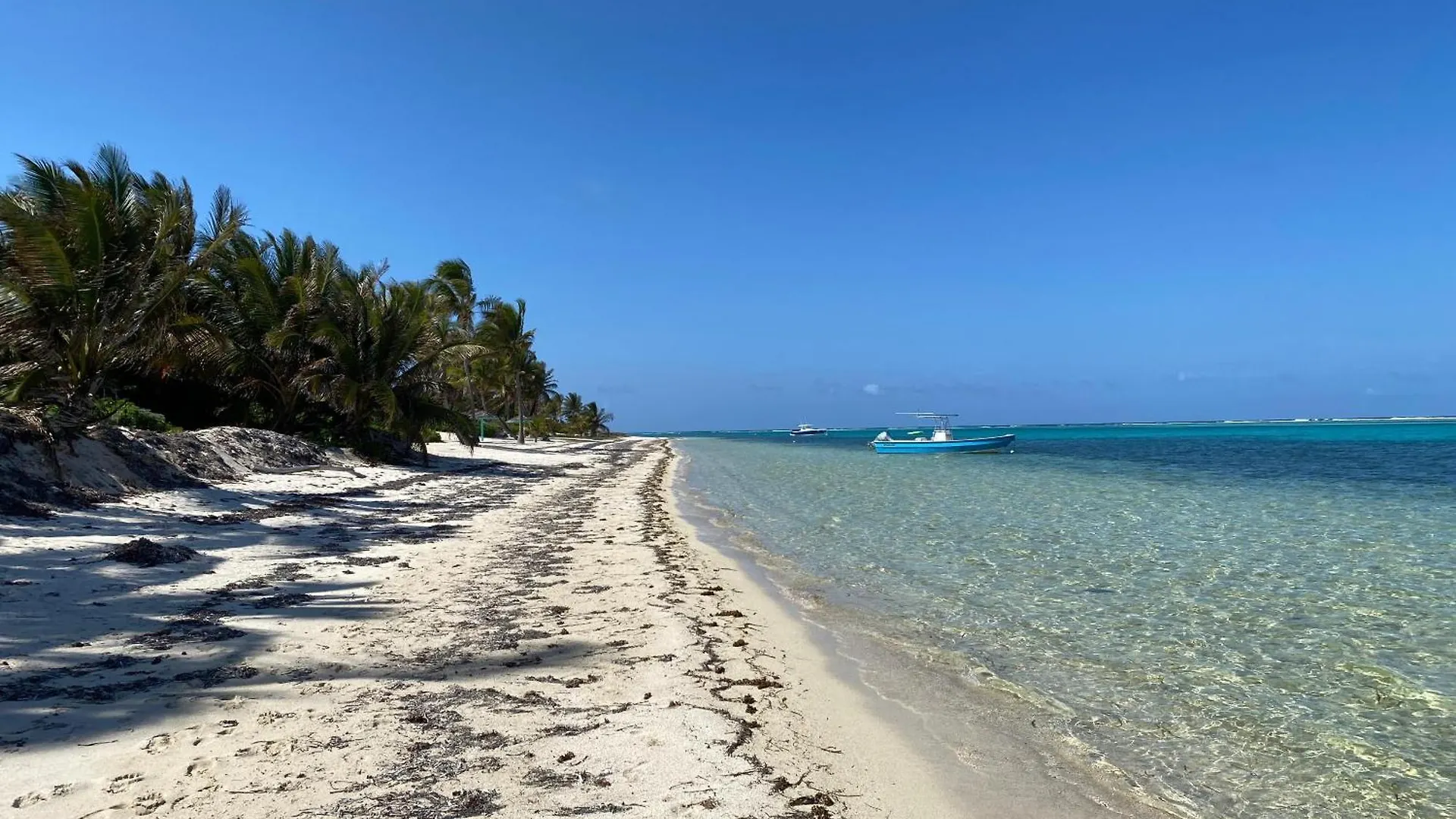 The Tropical Breeze Cottage Sand Bluff